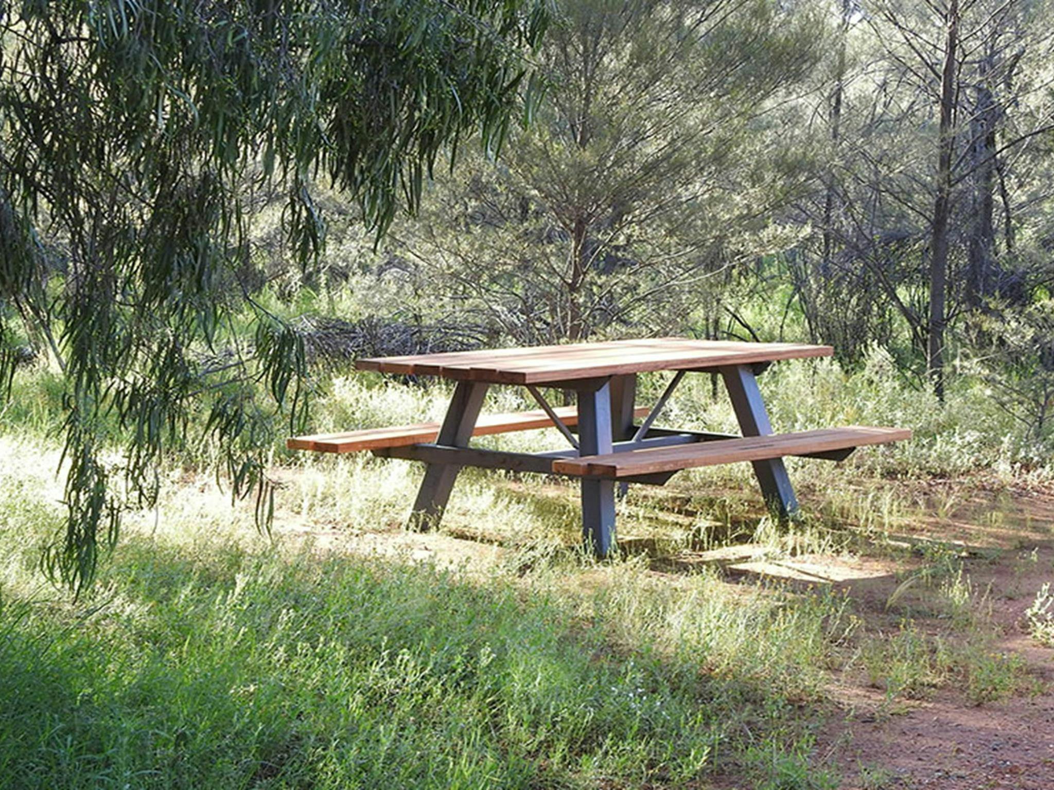 Foto eines Picknicktisches, umgeben von Bäumen, Gras und Sträuchern, auf dem Campingplatz und Picknickplatz Dry Tank