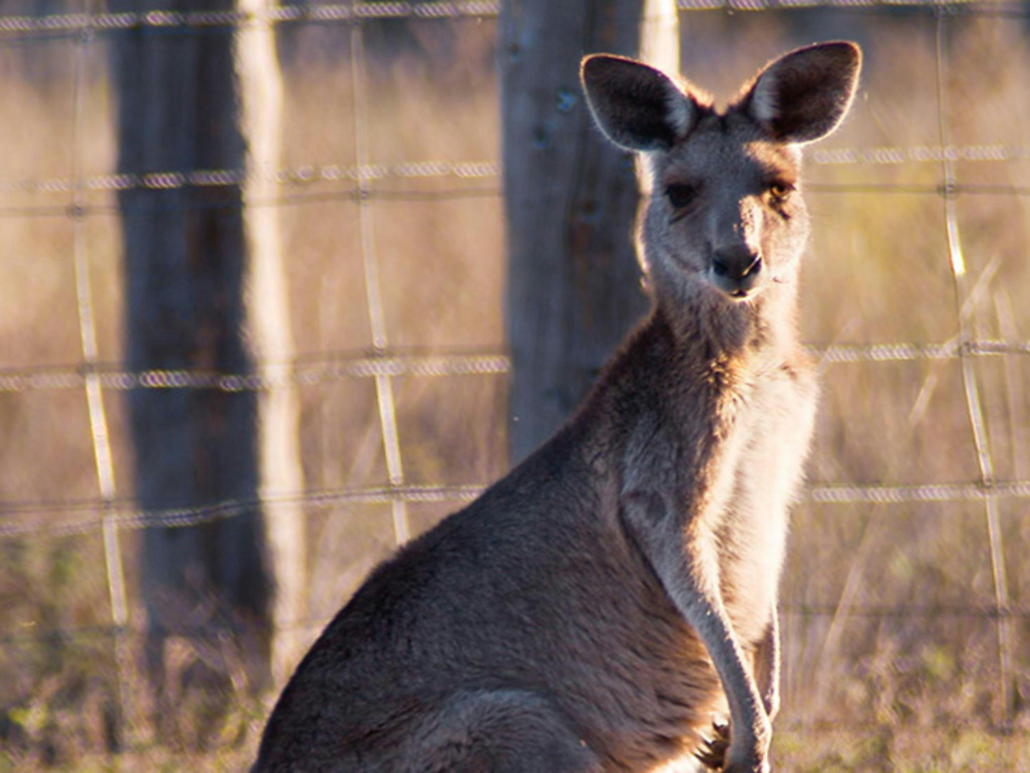 Dthinna Dthinnawan National Park