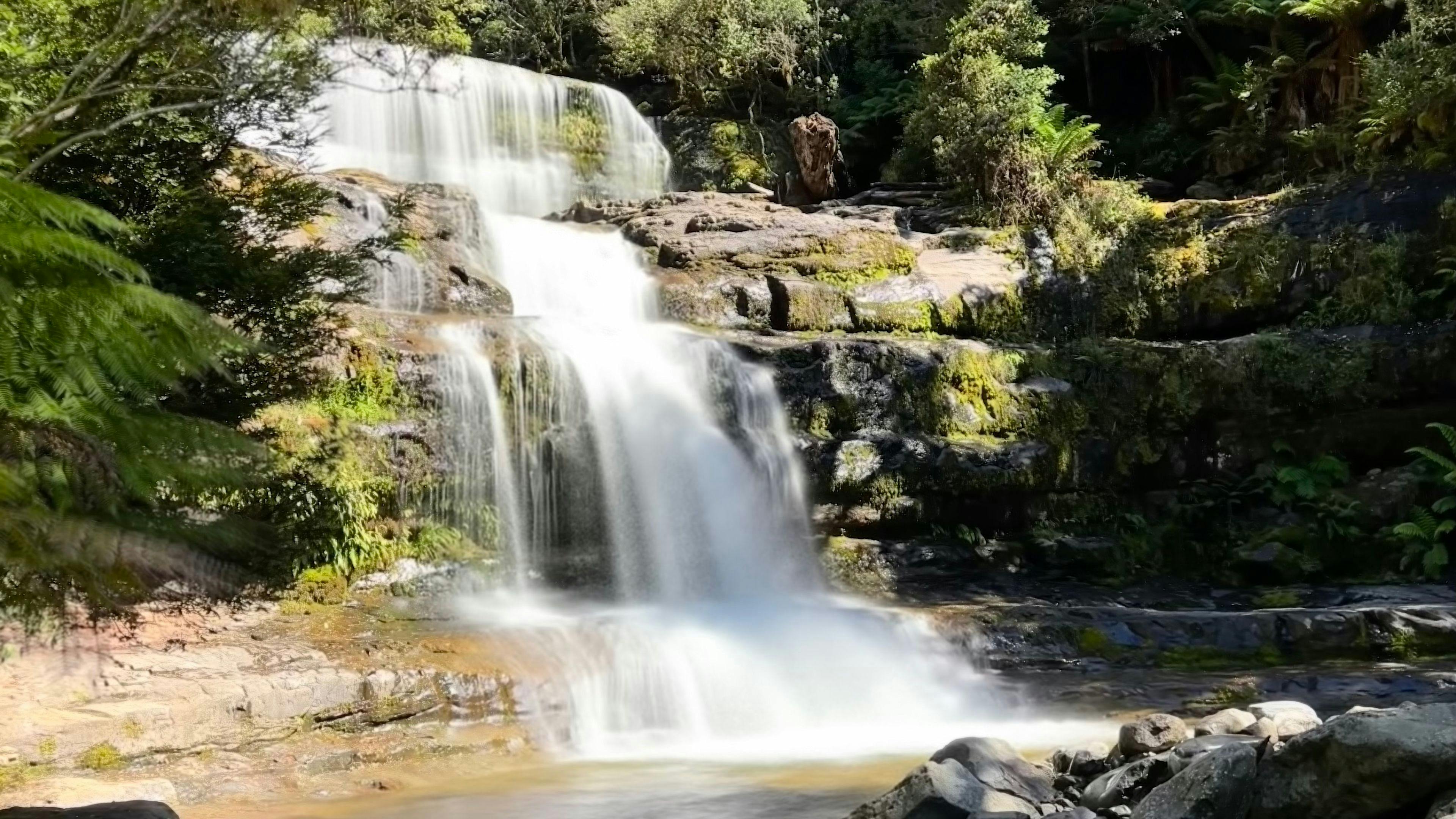 Liffey Falls not far away