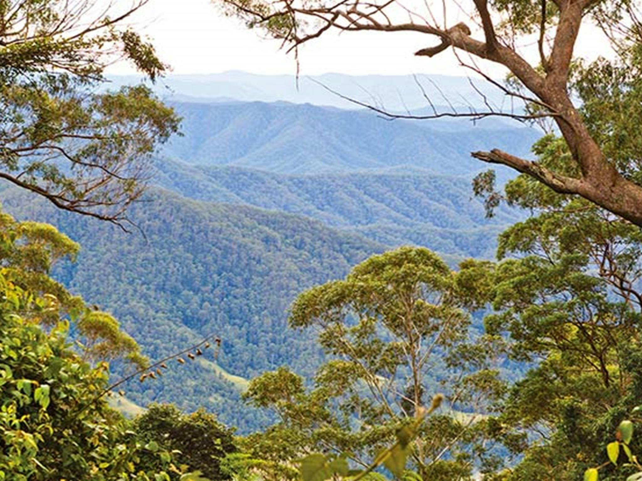 邓吉尔国家公园的秀丽景色。照片：罗伯特·克利里 © DPIE