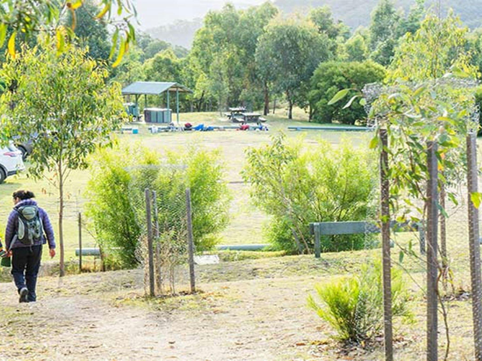 Cars parked at Dunphys campground, Blue Mountains National Park. Photo: Simone Cottrell/OEH.