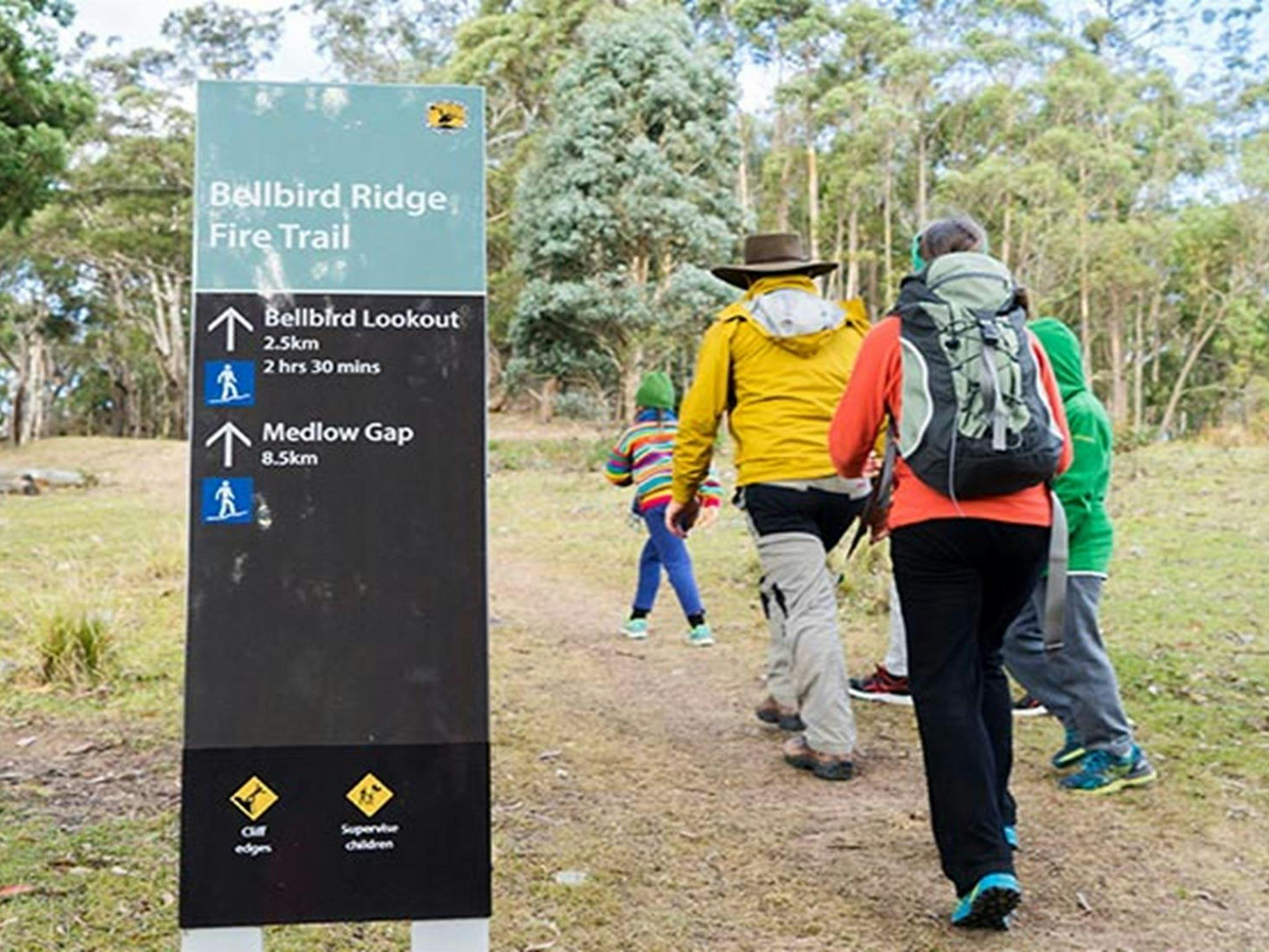A family walk along Bellbird Ridge fire trail, Blue Mountains National Park. Photo: Simone