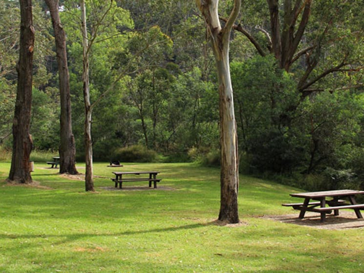 Grass, trees and picnic tables in Durawi picnic area, Bents Basin State Conservation Area. Photo: