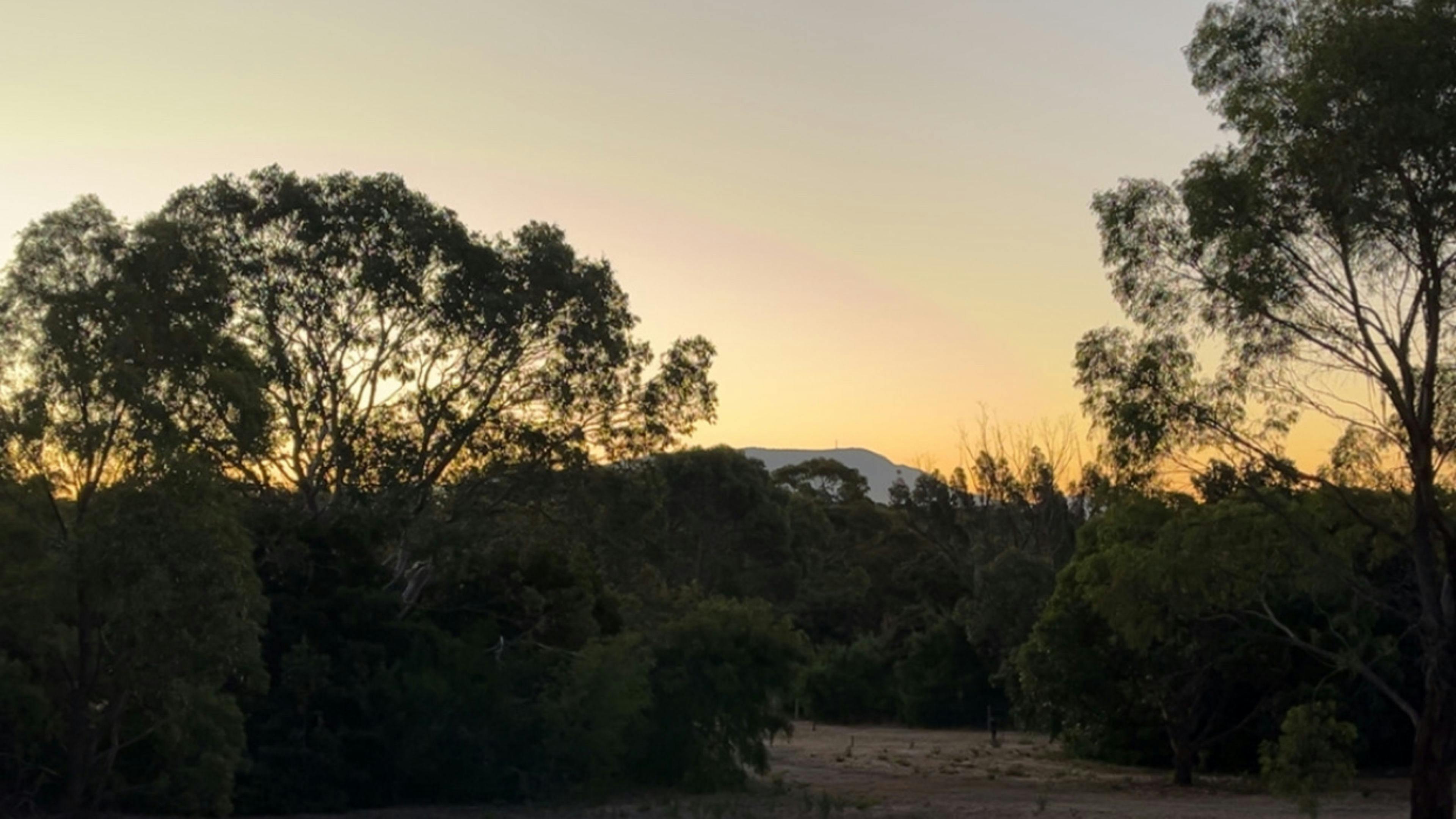 The Willows Farm