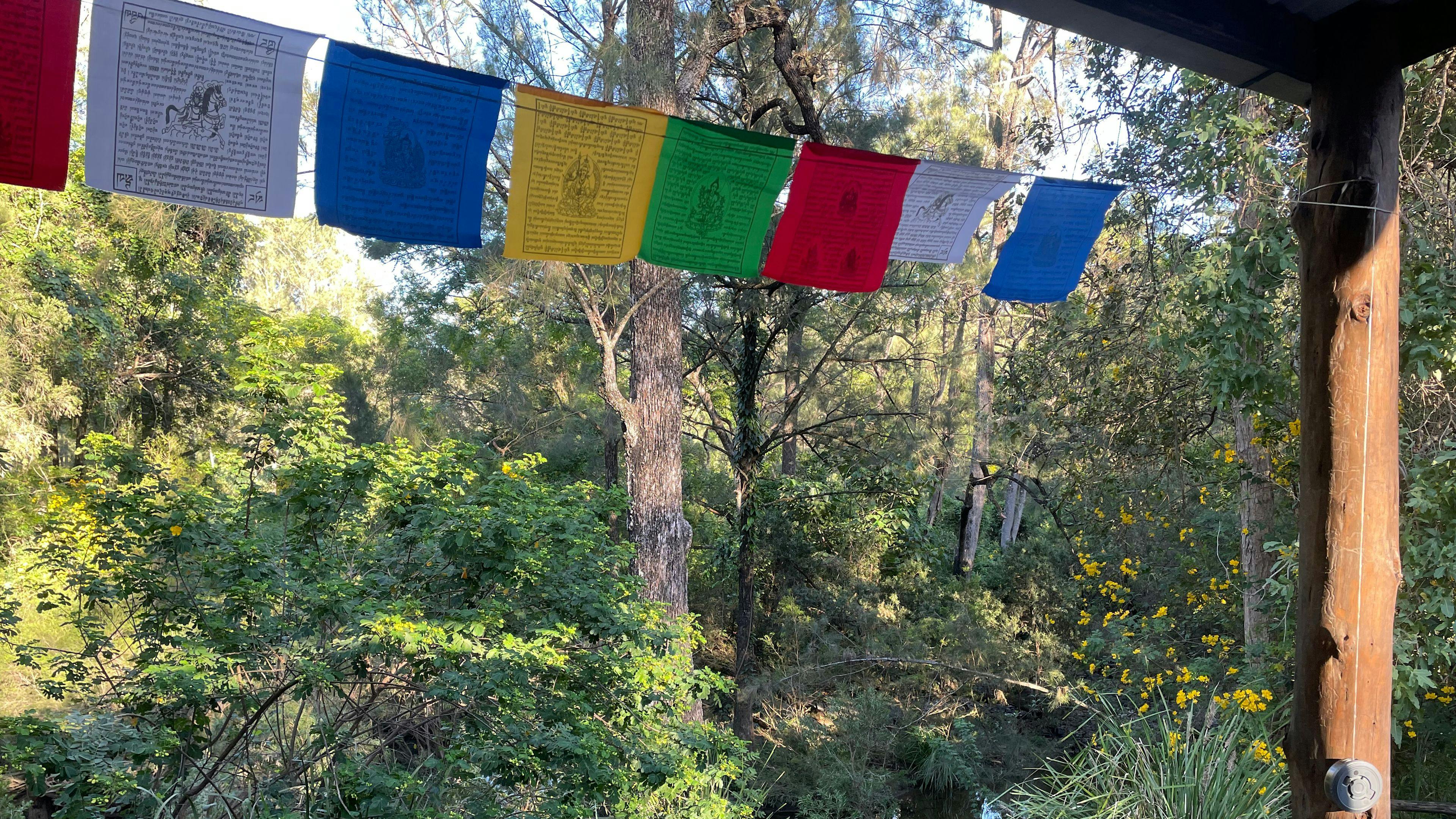 Bellbird Lodge