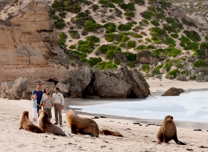 Scenic Kangaroo Island Trail Tour