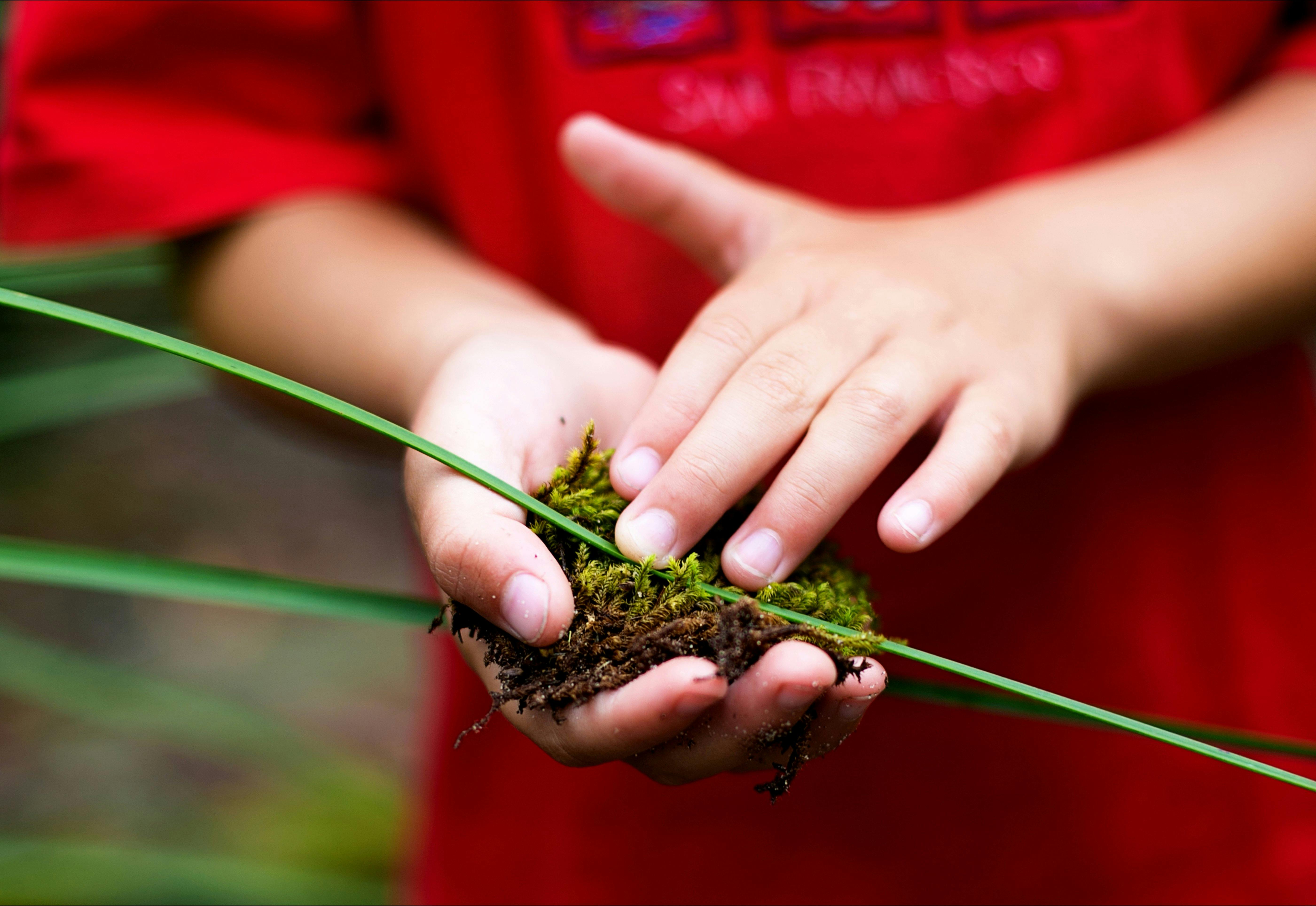 Strickland is a place of ecological delight