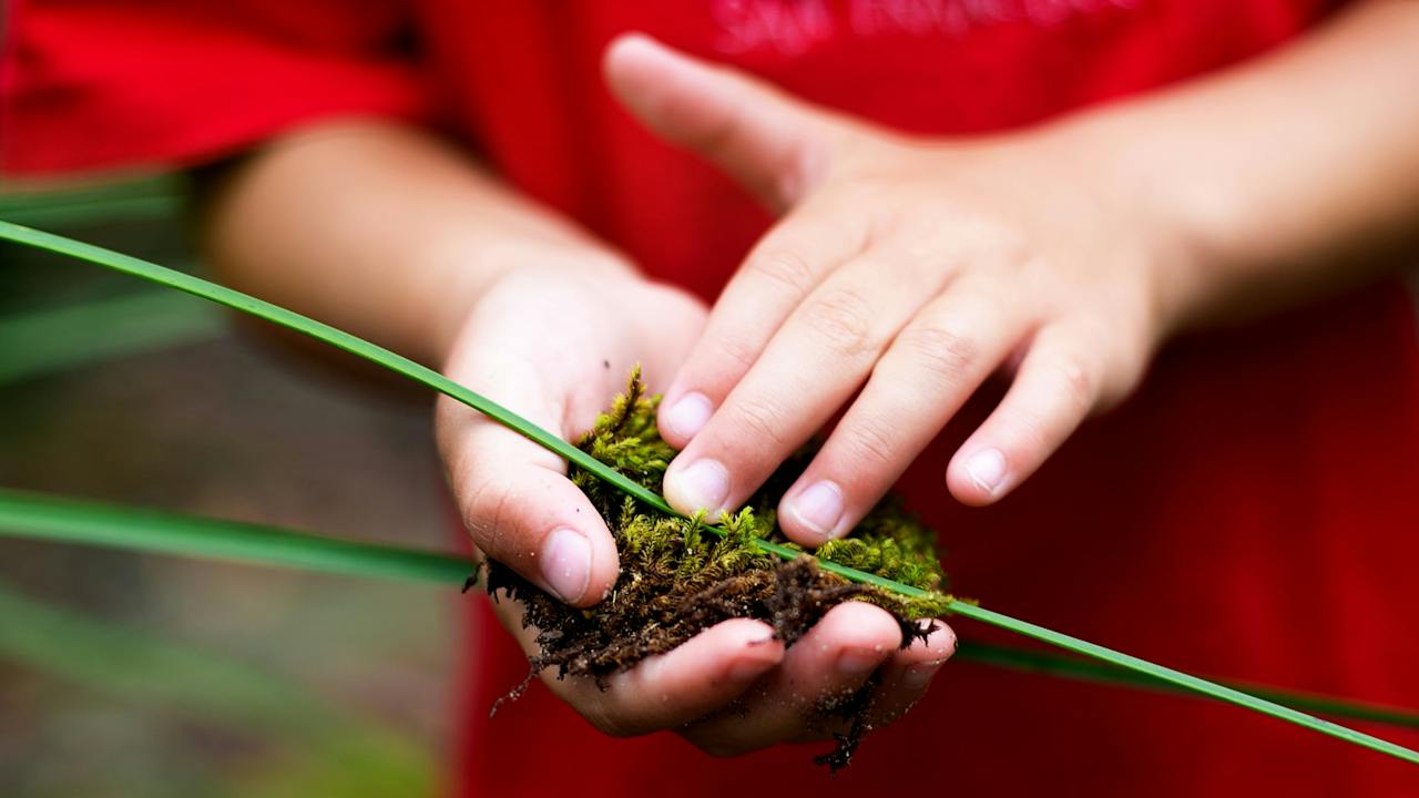 Strickland is a place of ecological discovery