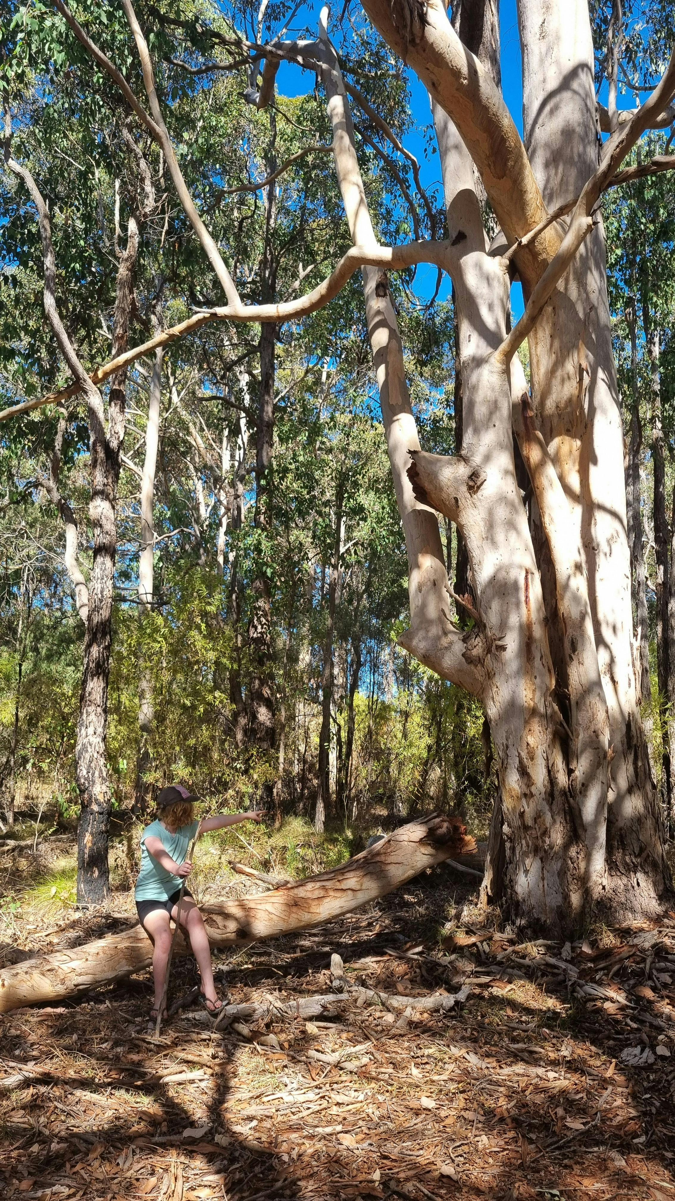 Forest School Manjimup