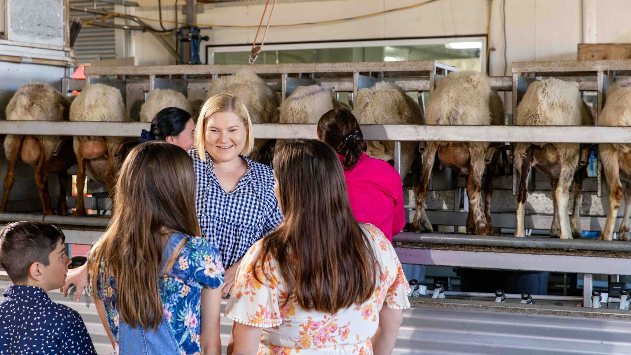 Milking Demo Milking Demo