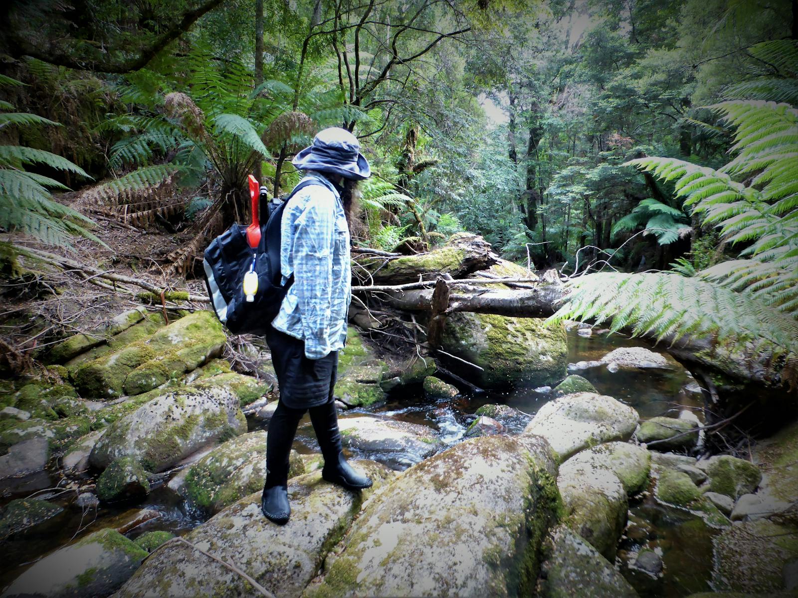 Gem Hunting North East Tasmania