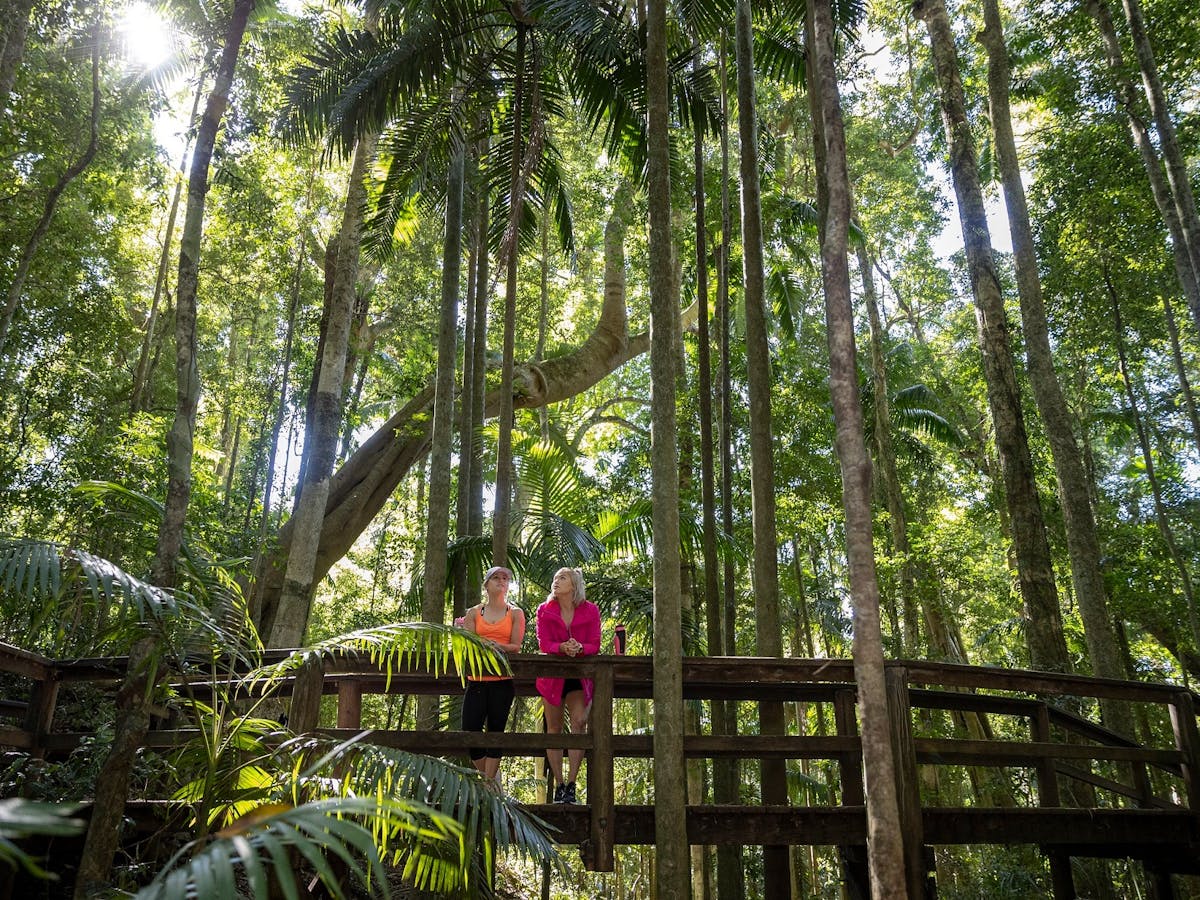 Two girls standing on a boardwalk in a rainforest