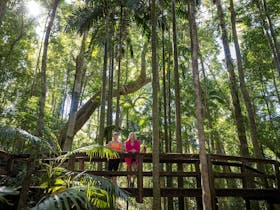Two girls standing on a boardwalk in a rainforest