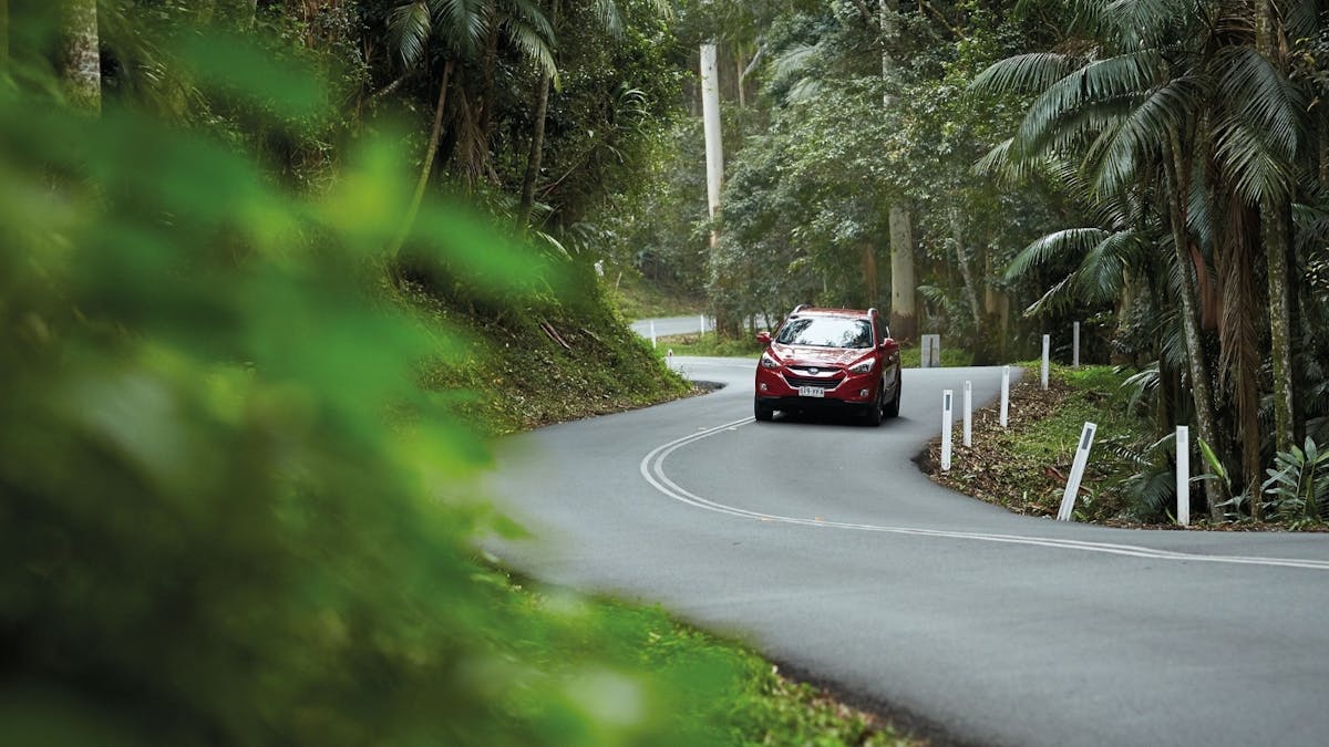 Vehicle driving along a tropical road surrounded by lush greenery