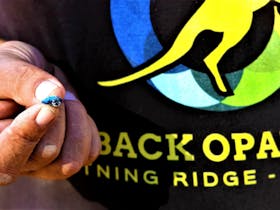 Tour guide Borko showing rough black opal