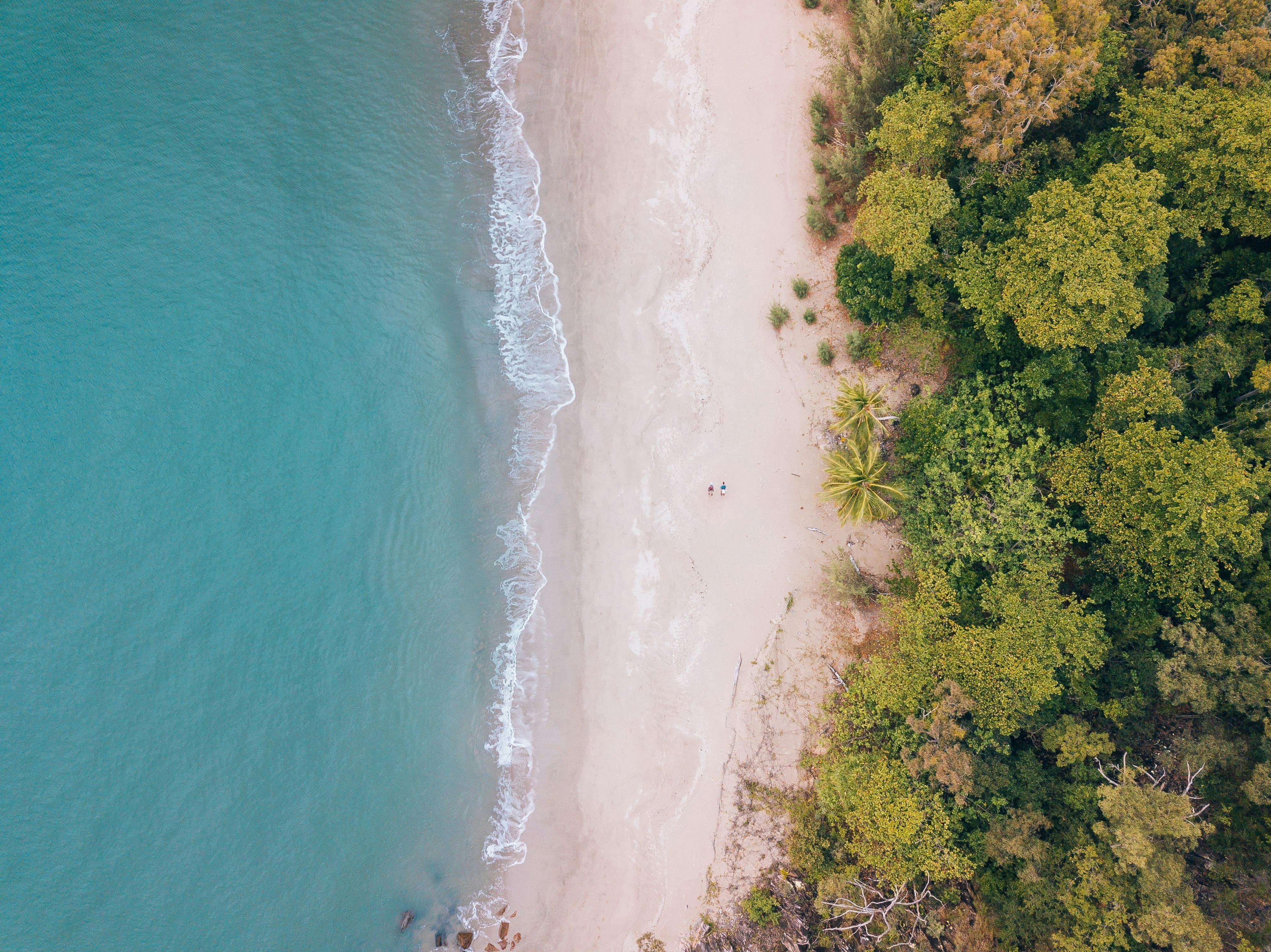 Hinchinbrook Island Cruises