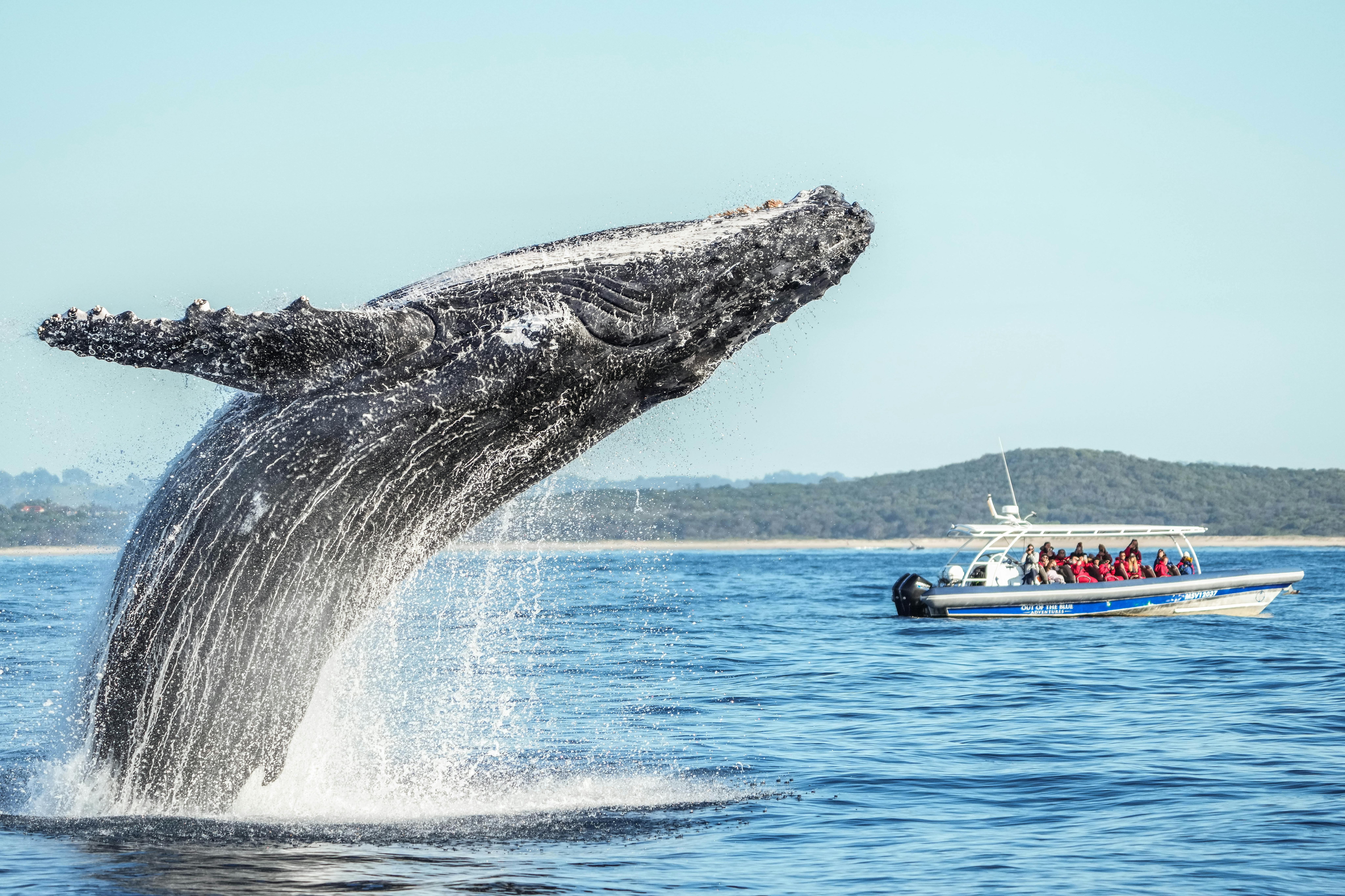 Out Of The Blue Adventures Ballina