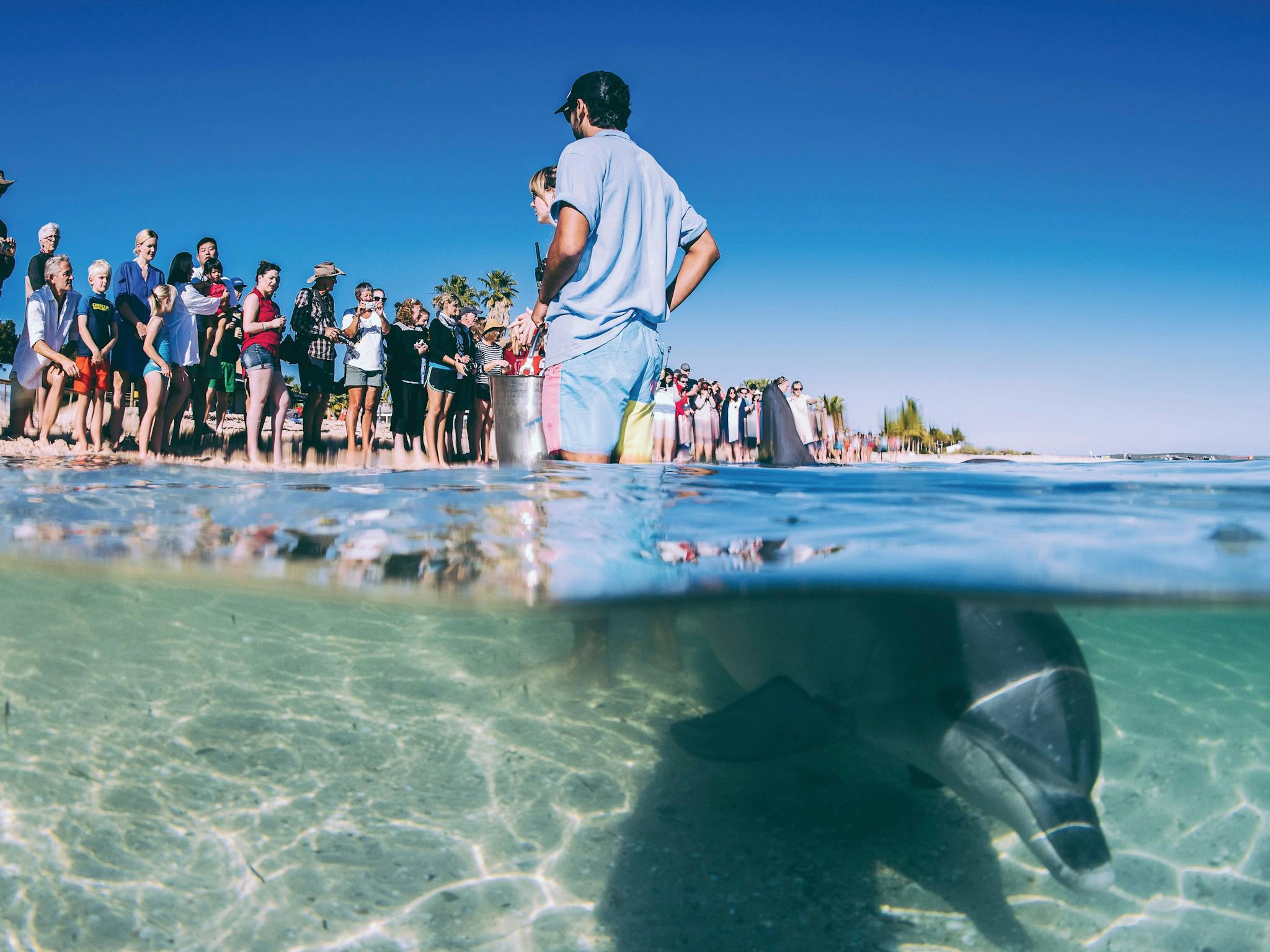 Best of the Coral Coast, Monkey Mia, Western Australia