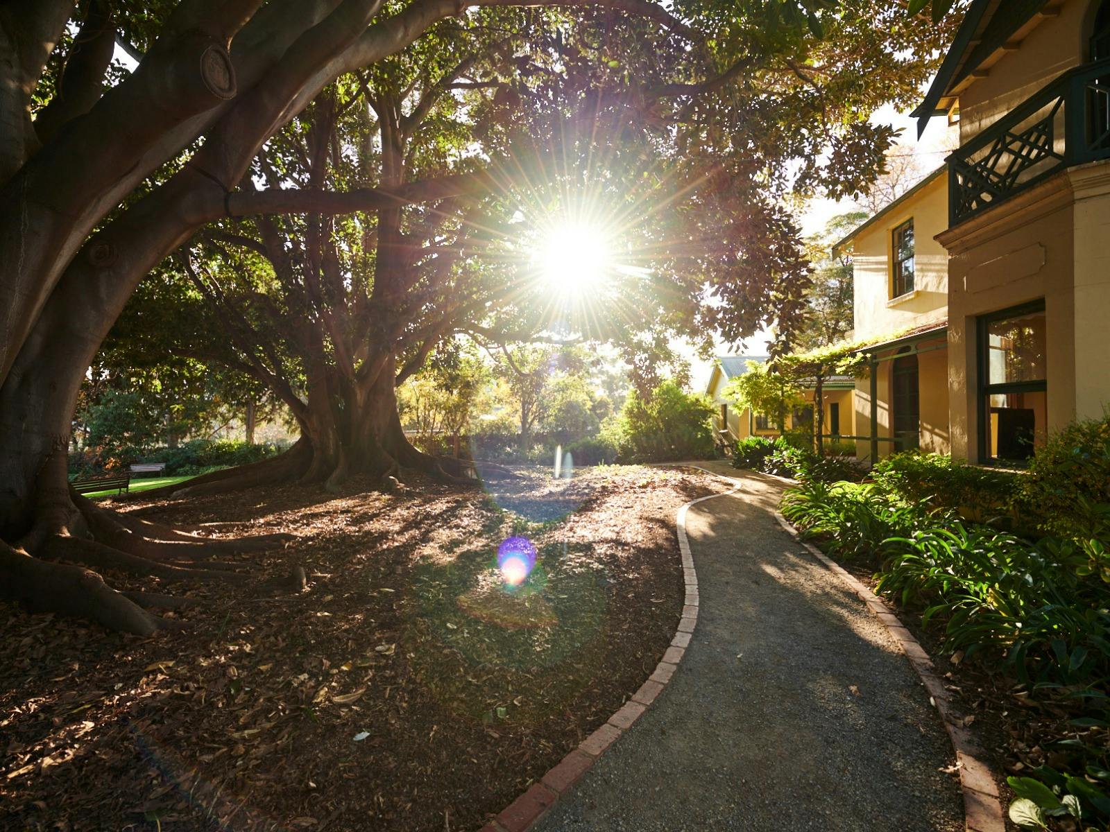 Sunlight shining through the branches of Langley Gallery in Heritage Hill and Historic Gardens.