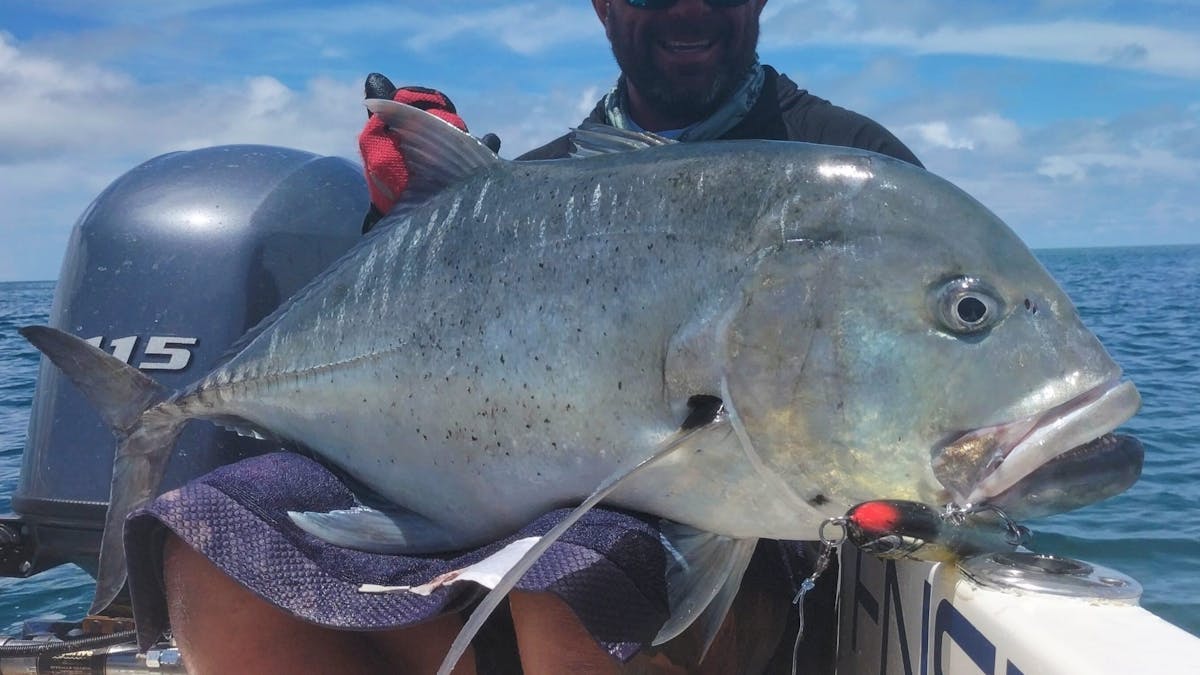 Giant Trevally caught on Ultimate Adventure charter