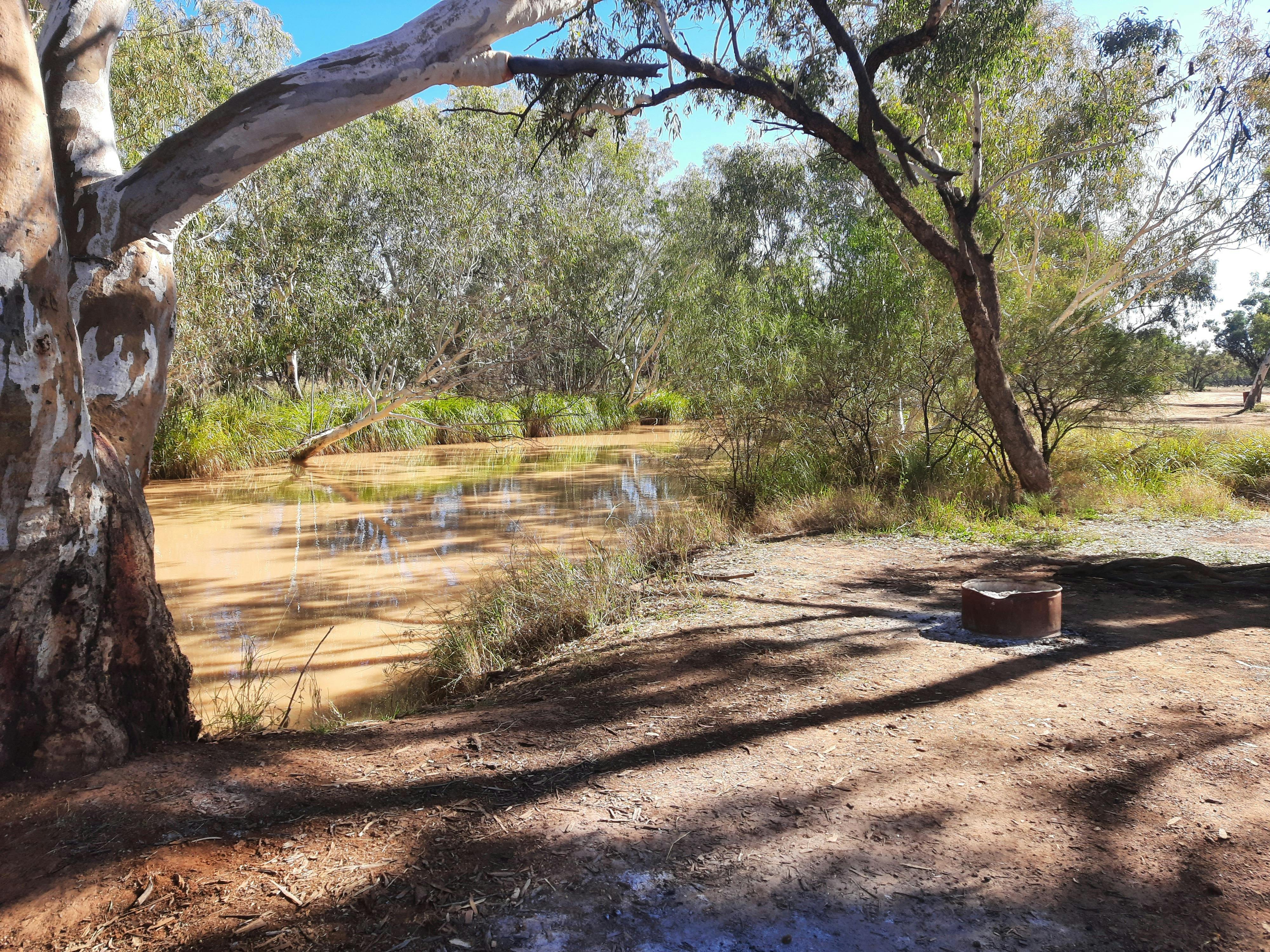 Alroy Farm stay and Camping