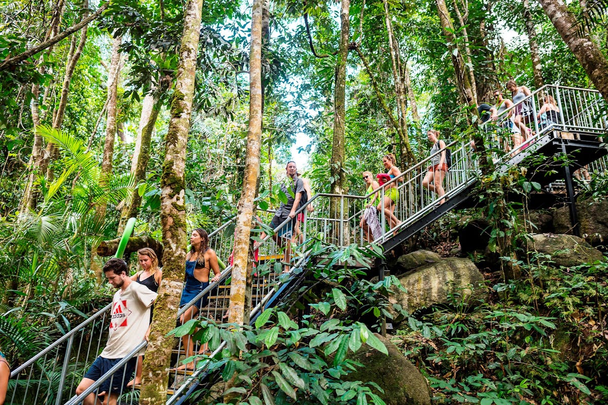 Rainforest Walk