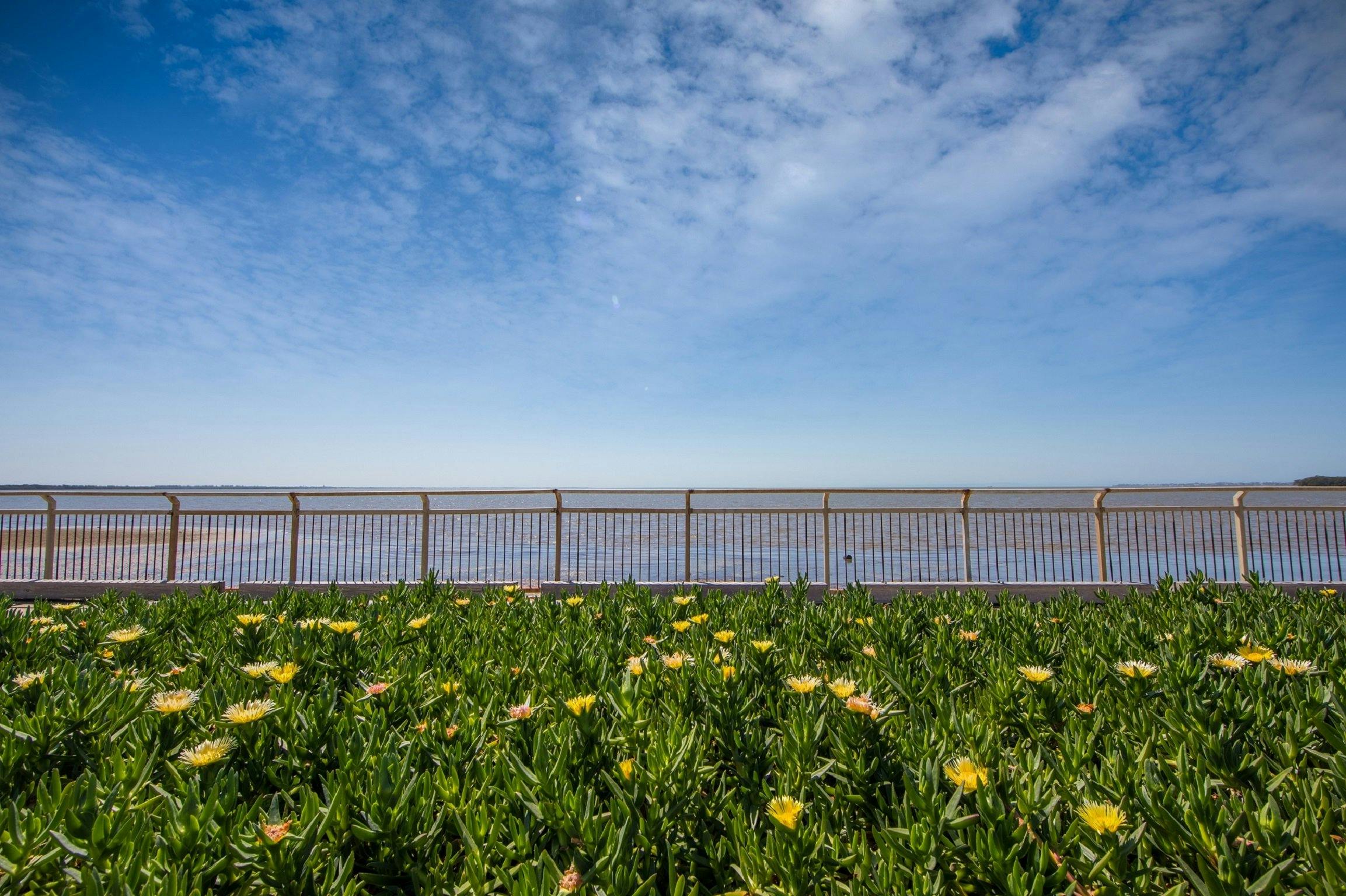 Waterfront boardwalk along the Deception Bay Heritage Trail