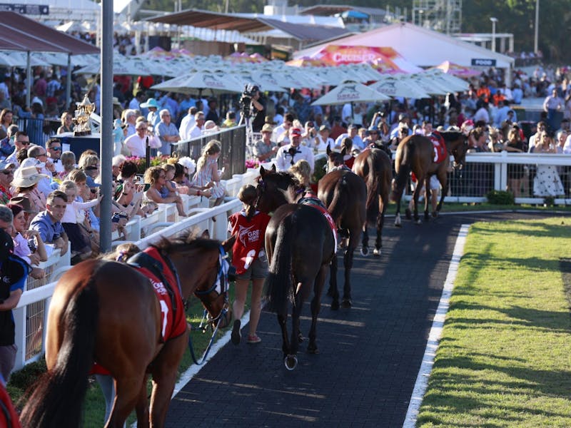 Image for Great Northern Darwin Cup Carnival