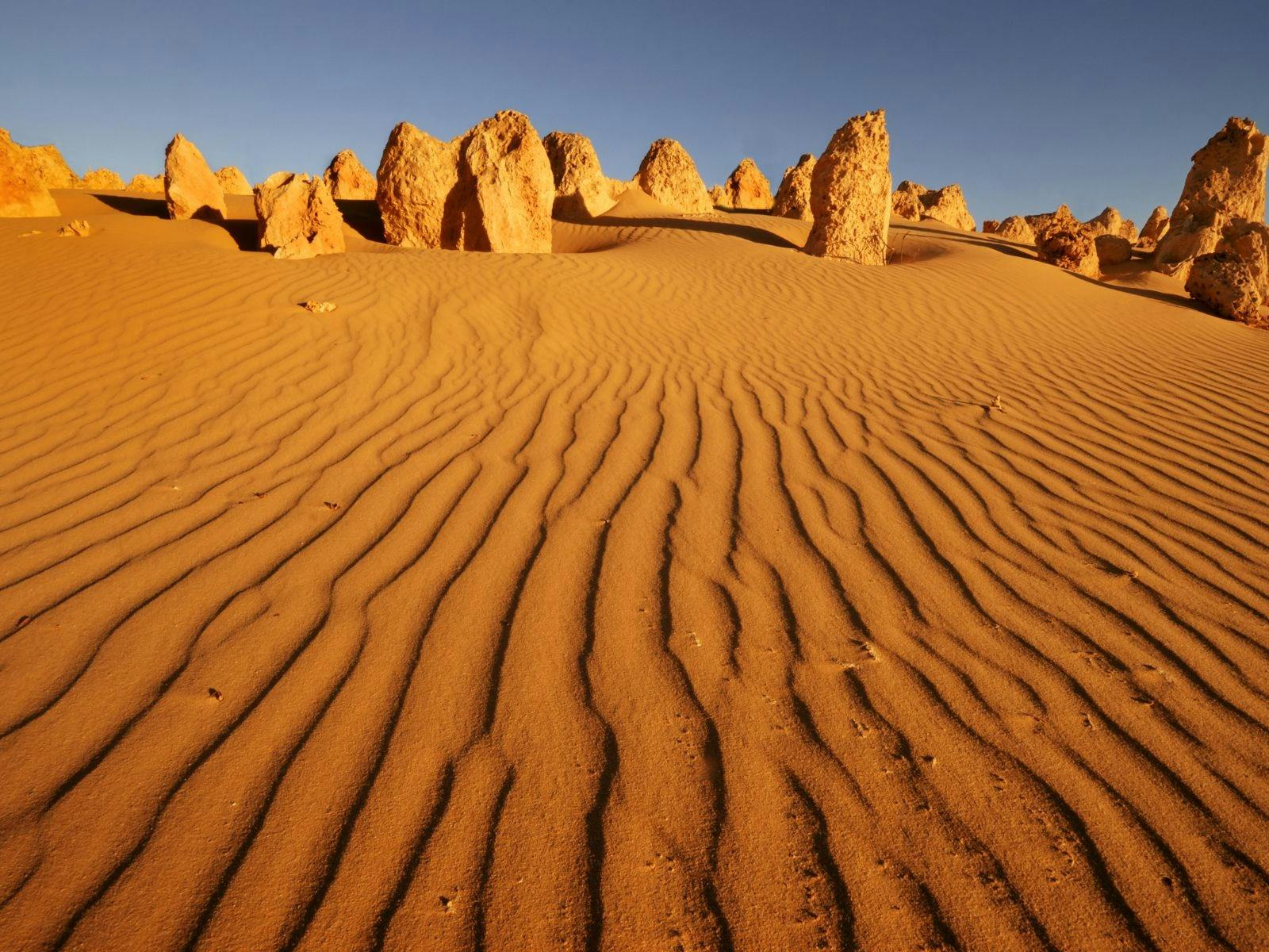 Western Australia Pinnacles