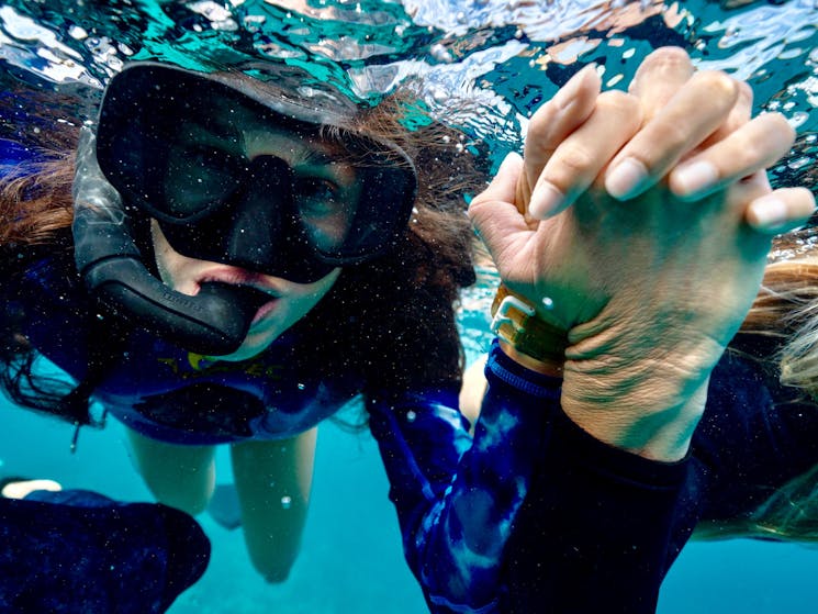 Julian Rocks Snorkeling Tour | NSW Holidays & Accommodation, Things to ...