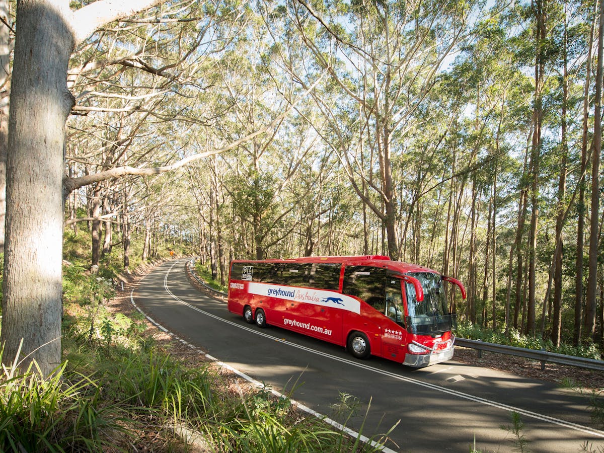 Luxury Coach travel City, Coast, Country.