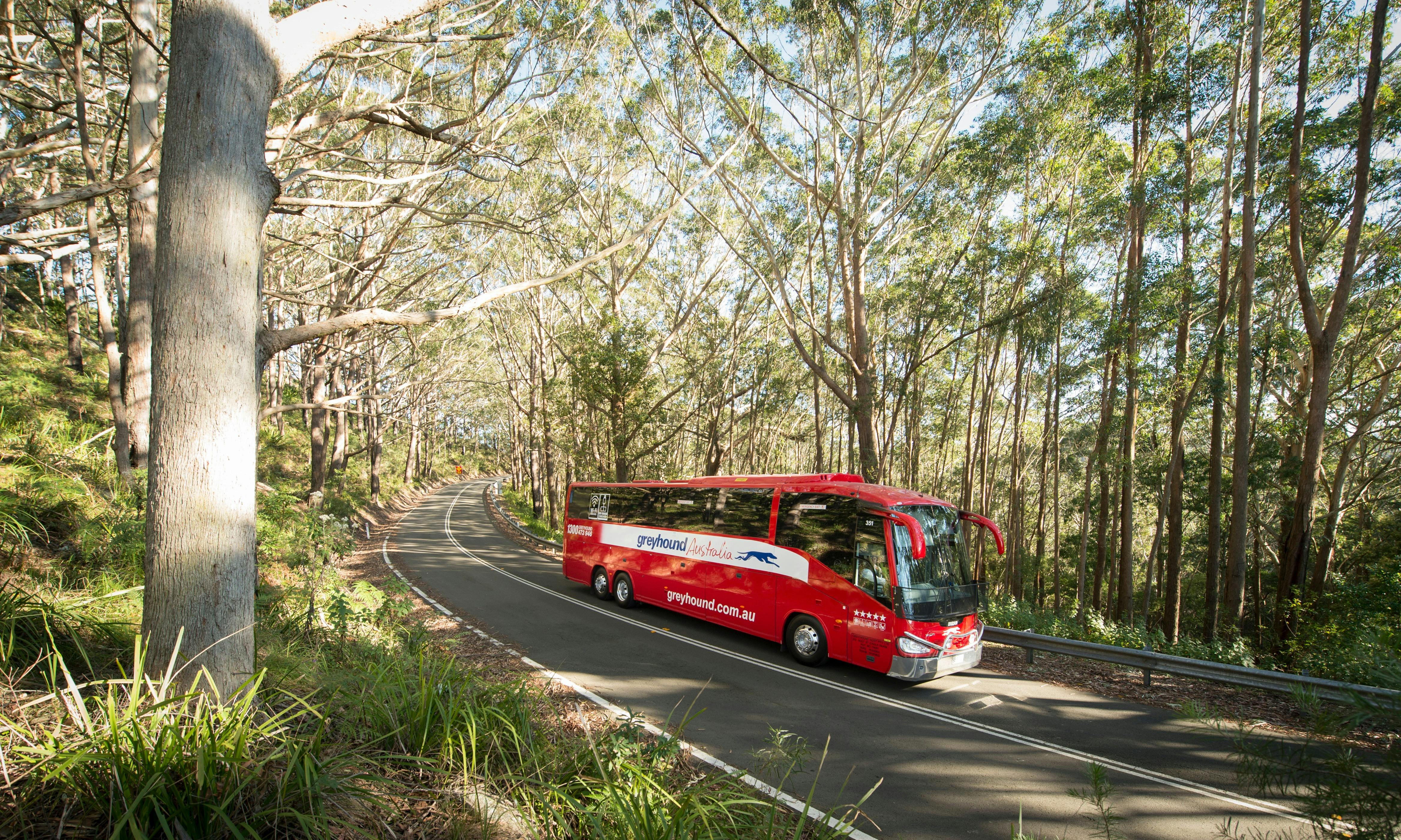 Greyhound Australia – Darwin