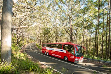 Greyhound Australia – Darwin