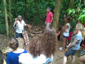 Aboriginal culture tours in rainforest