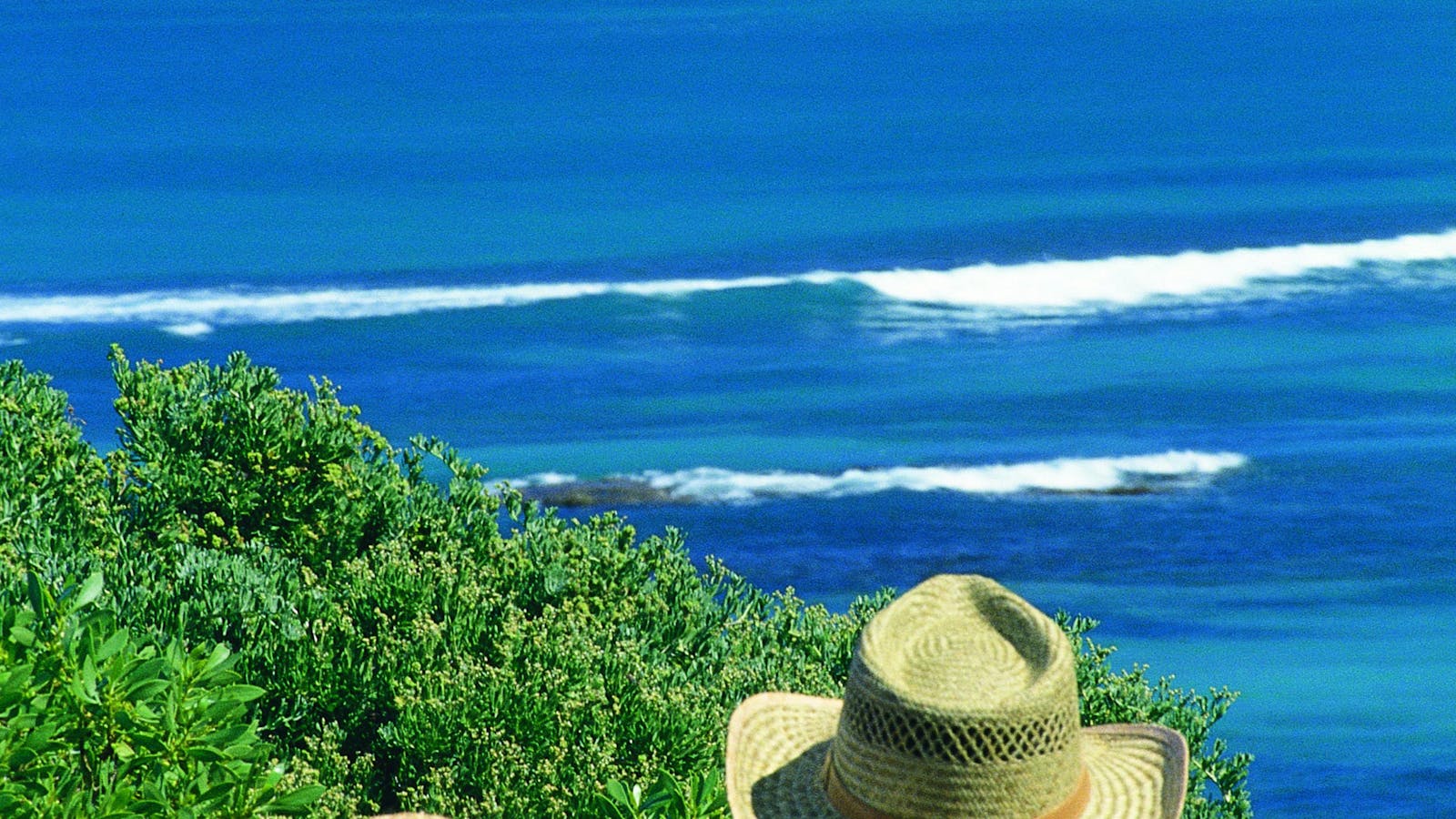 Separation Point Lookout