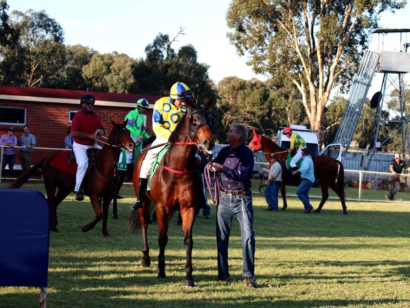 Image for The Cootamundra Cup