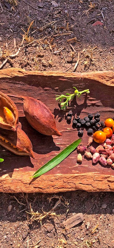 A traditional indigenous wooden artifact holds a colourful display of leaves, seeds and berries