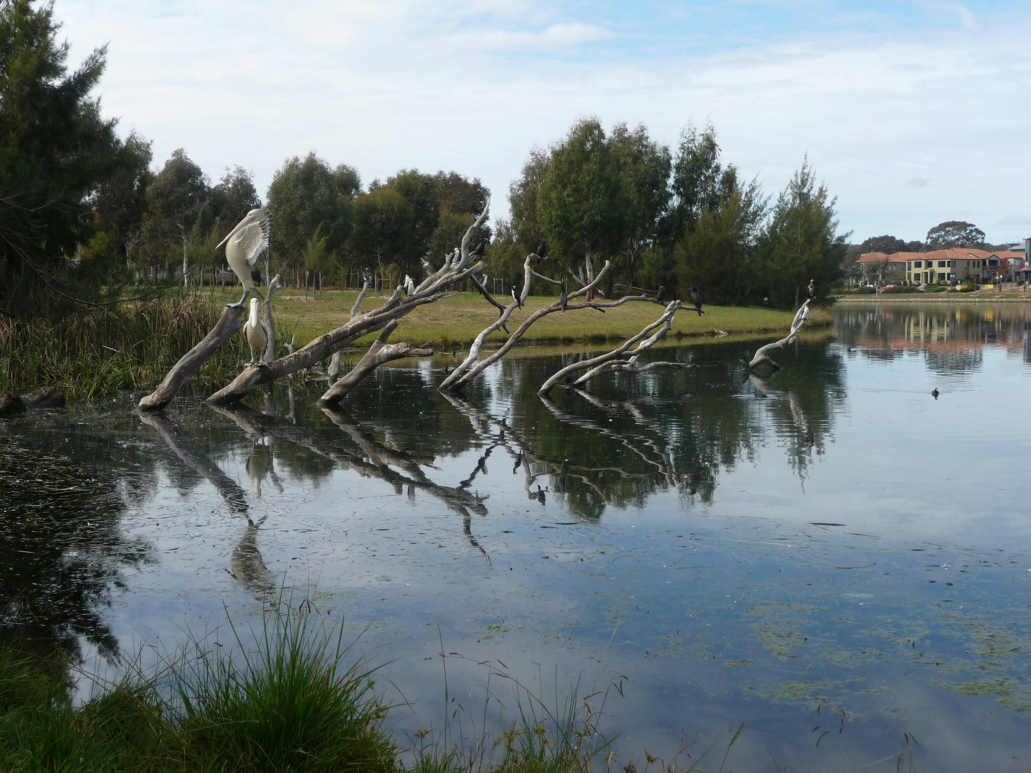Large bird sitting on a tree in a waterway