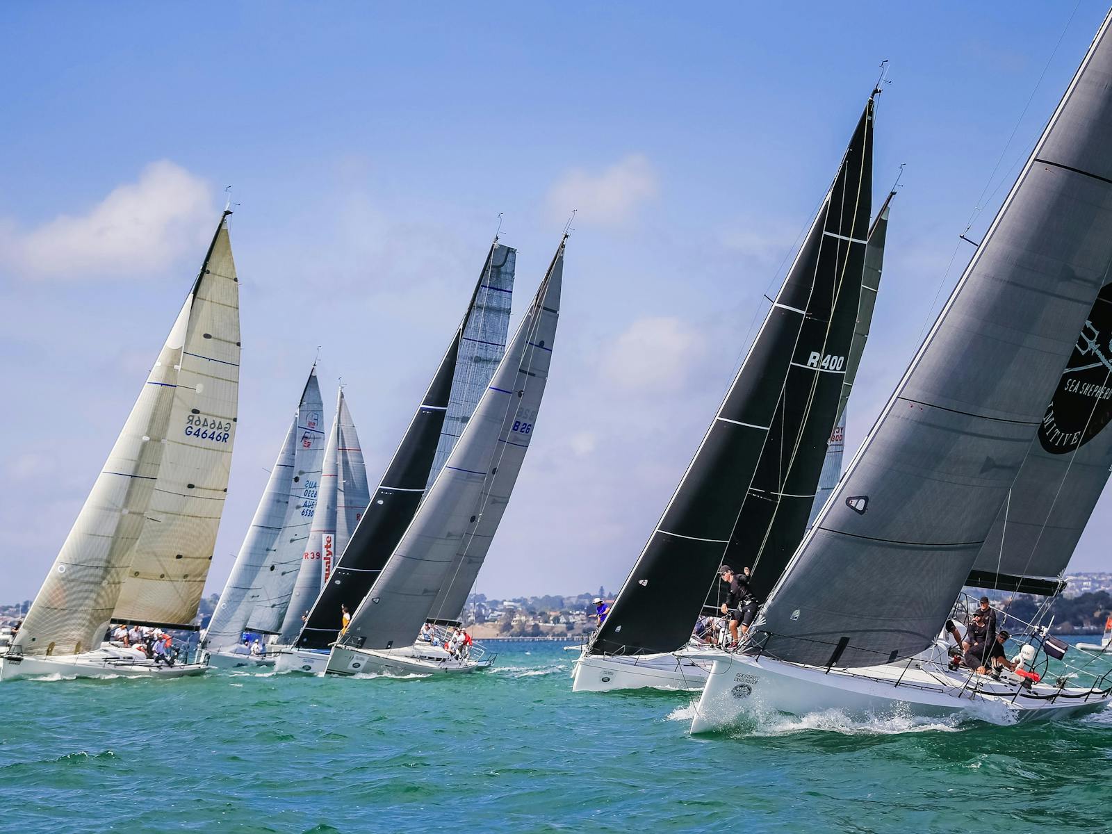 Image for Festival of Sails