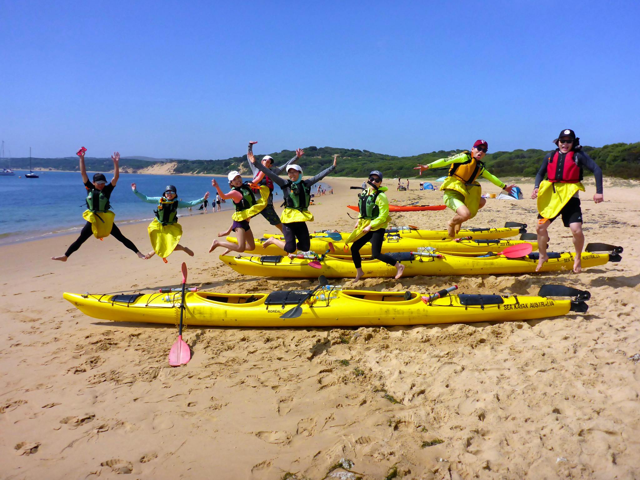 Phillip island Sea Kayak Tour