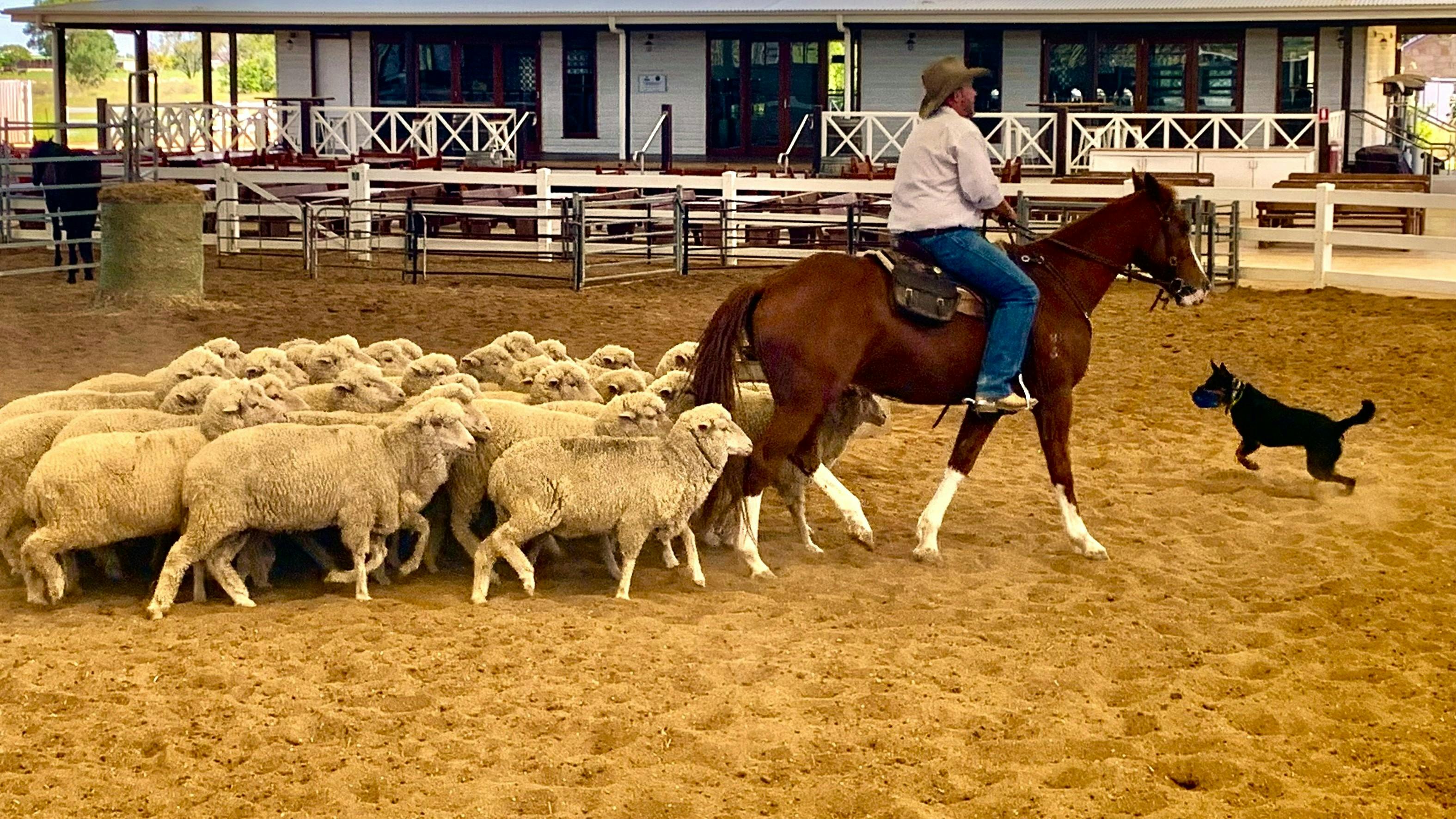 Outback Stockman's Show