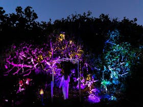 Night lights at The Enchanted Fig Tree Kangaroo Island