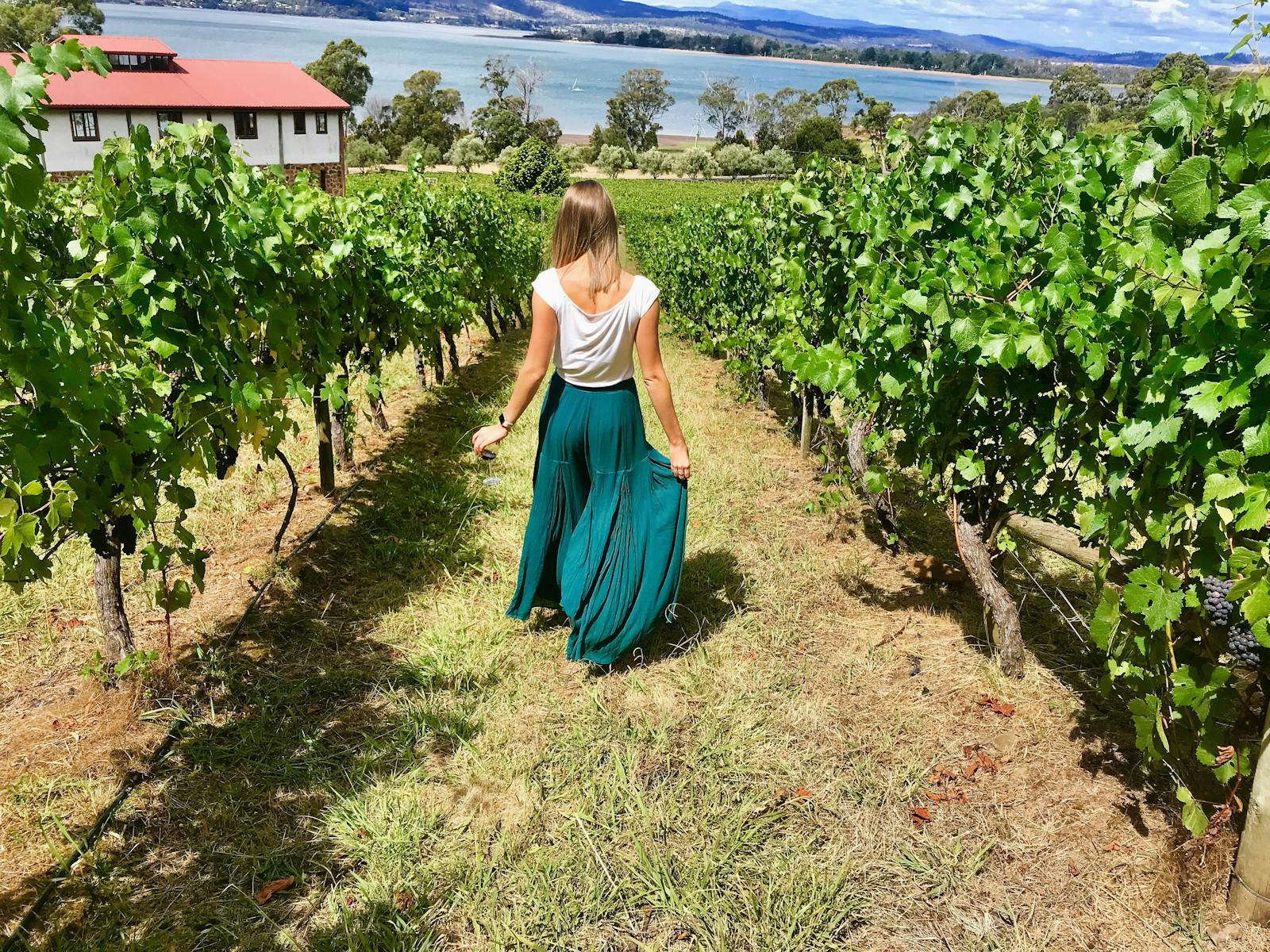 Discovery wine tour