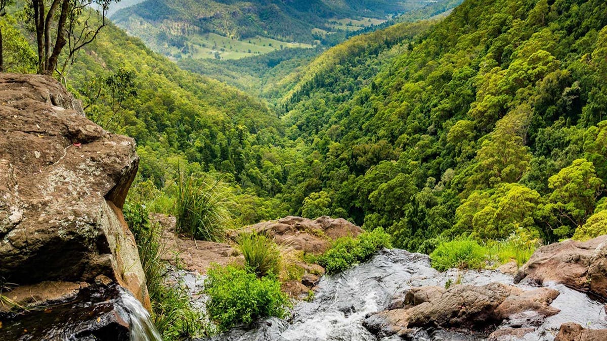 Gold Coast Hinterland
