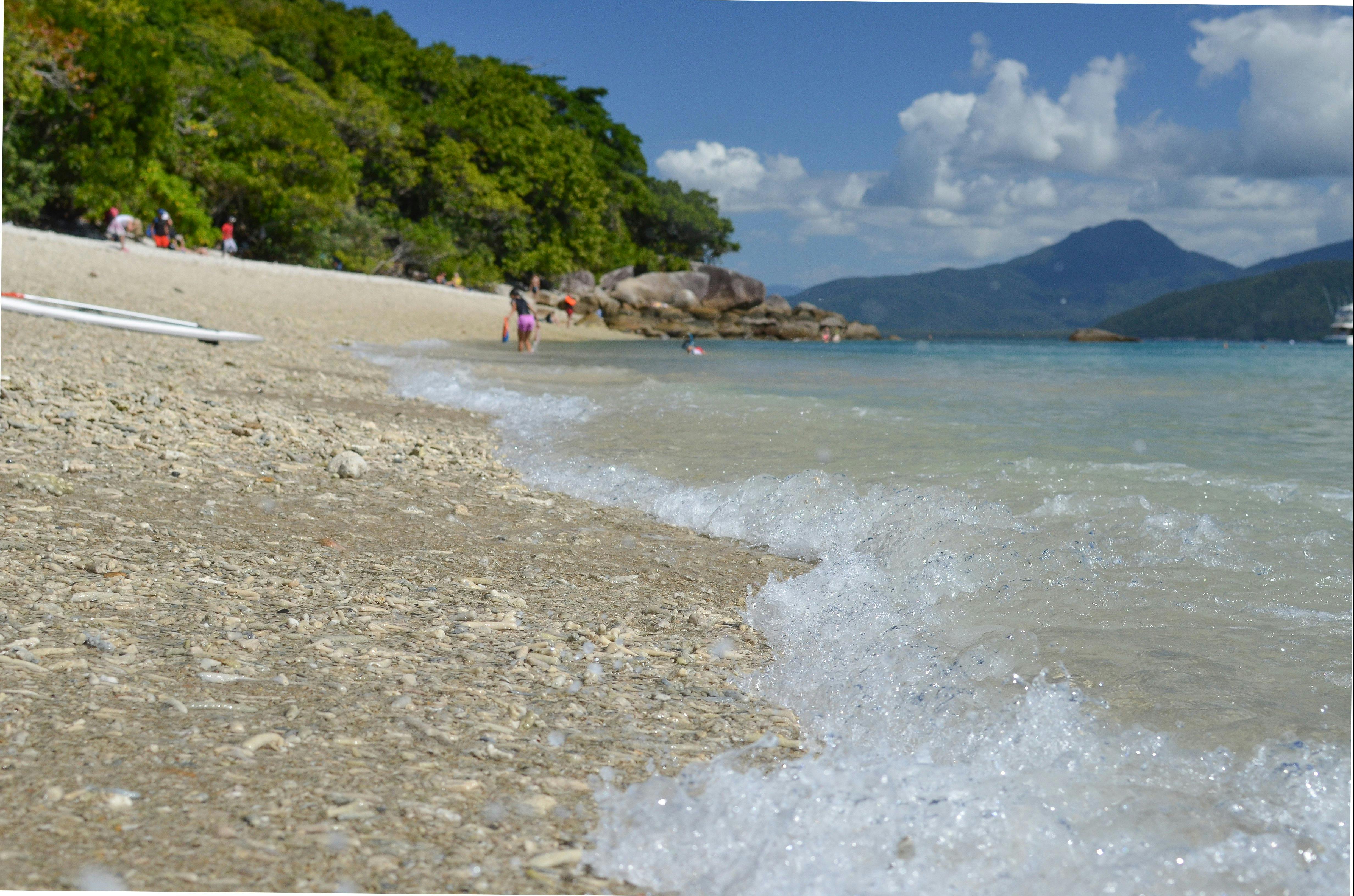 Fitzroy Island Full Day Transfers