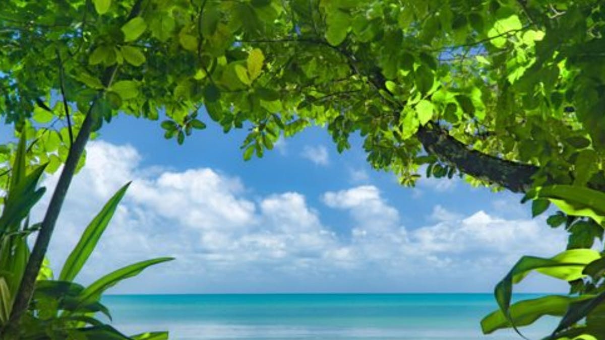 Pristine Beaches