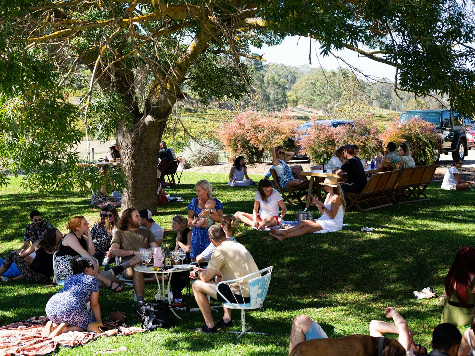 There's always a spot on the lawn for you to roll out the picnic rug and enjoy a glass or two.