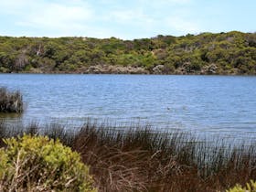 Little Dip Conservation Park