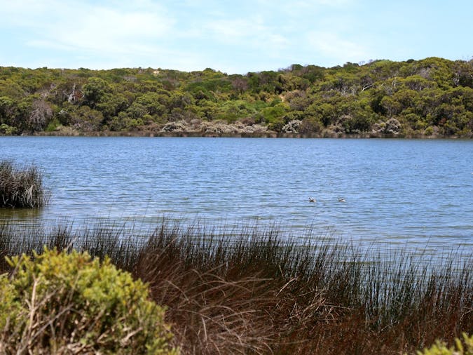 Little Dip Conservation Park Campground
