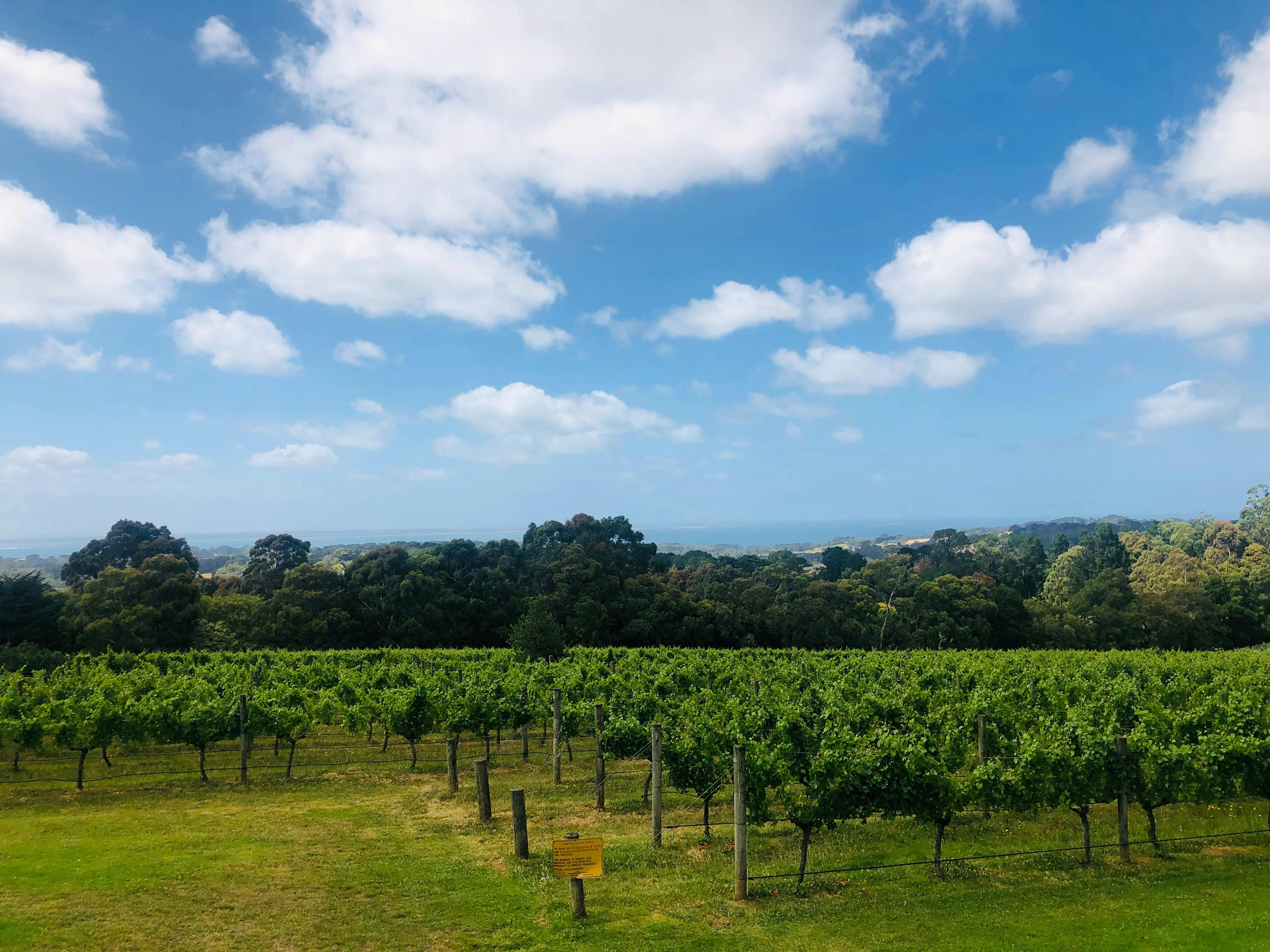Panoramic Views at Redhill Estate